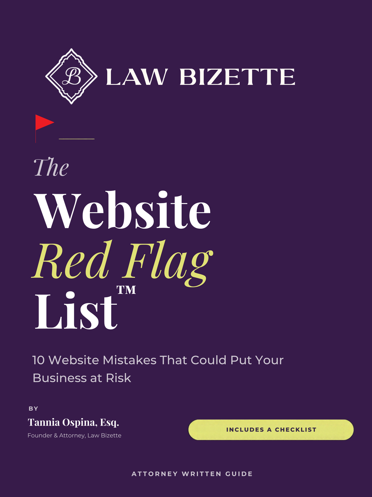 Website Red Flags guide cover
